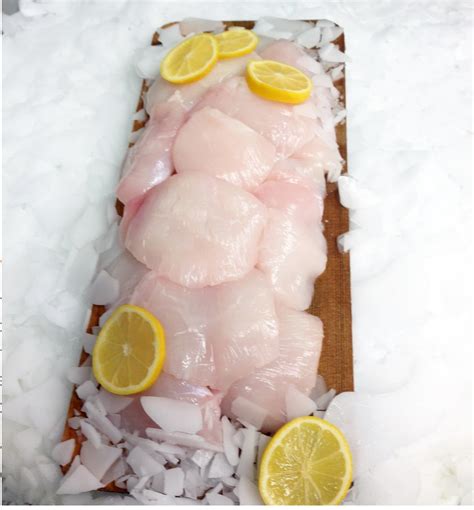 cheek fish|Fresh, Alaskan Halibut Cheeks .
